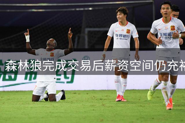 森林狼完成交易后薪资空间仍充裕 可签第14人